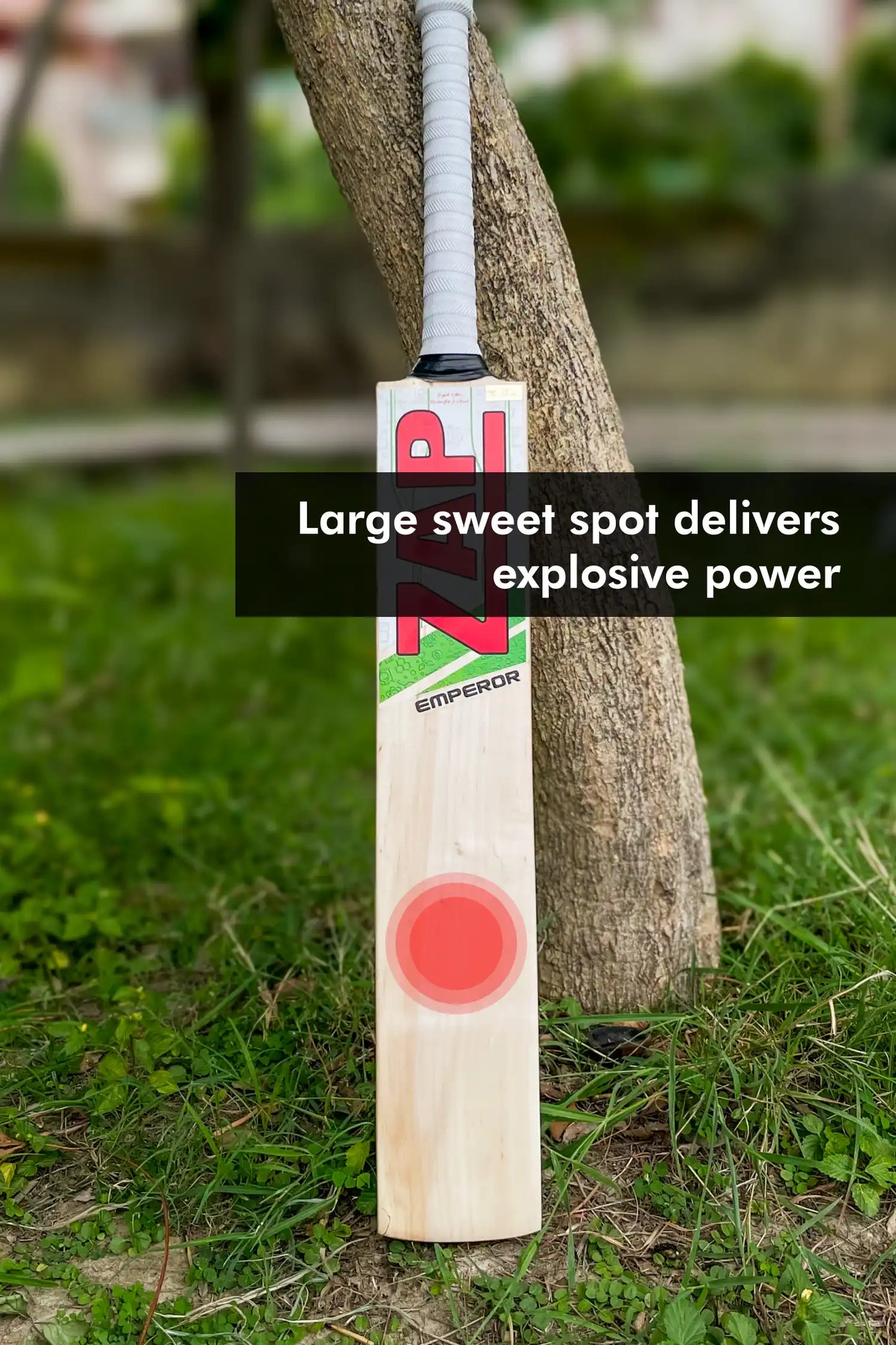 ZAP Classic Emperor English Willow Bat