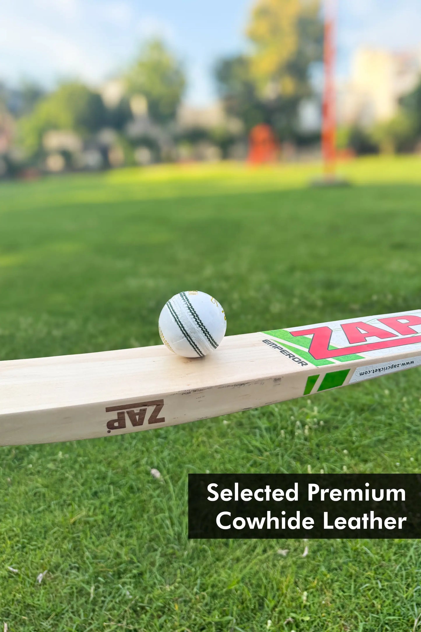 ZAP Test Cricket 4pc Leather Ball
